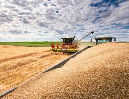 Las perturbaciones de los precios de los alimentos y la energía causadas por la guerra de Ucrania podrían durar años